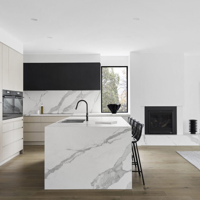 A forever home story